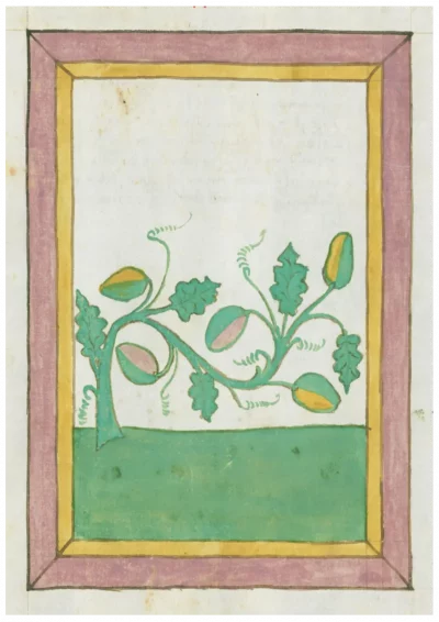 Johannes Hartlieb’s Book of Herbs (1462)2