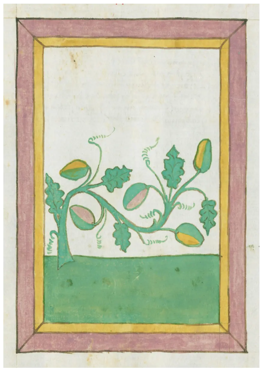 Johannes Hartlieb’s Book of Herbs (1462)2