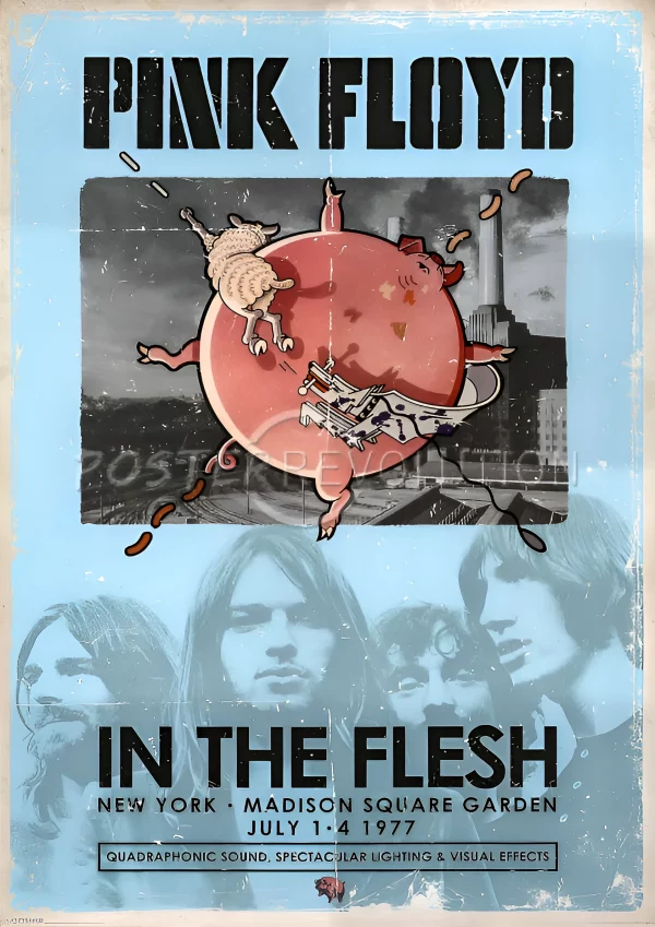 Pink Floyd1